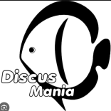 Discus-mania